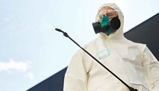 Pest Control Patterson Lakes